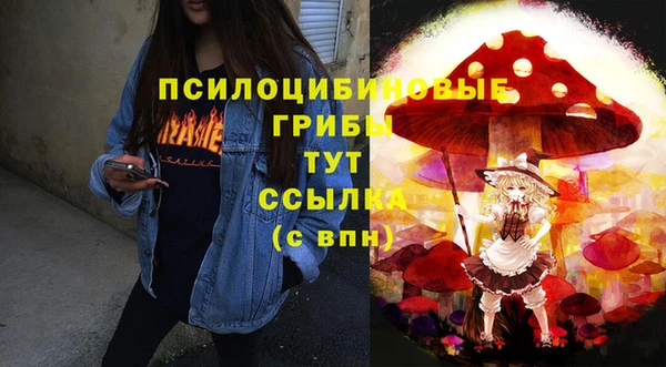 гидропоника Новозыбков