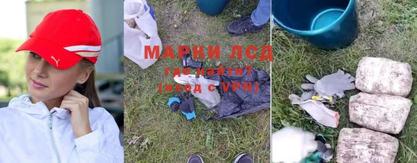 гидропоника Новозыбков