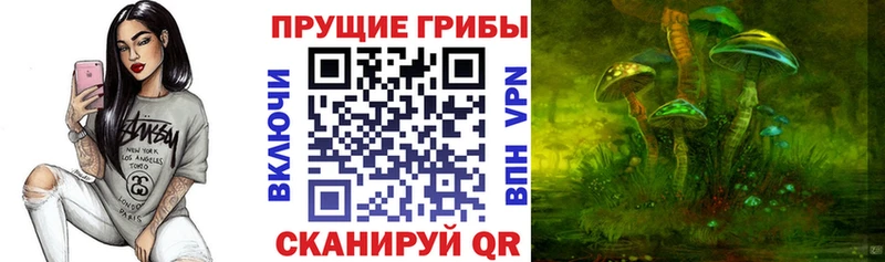 где продают наркотики Оса Галлюциногенные грибы мицелий