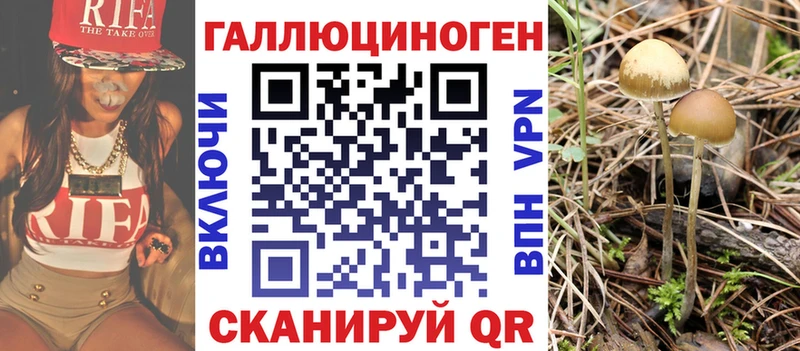 Галлюциногенные грибы GOLDEN TEACHER Оса